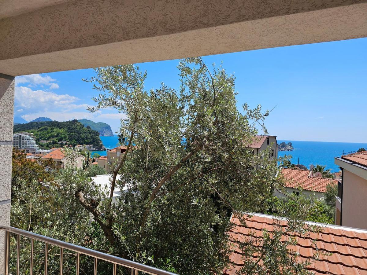 Medin Apartments Bluvista Petrovac المظهر الخارجي الصورة