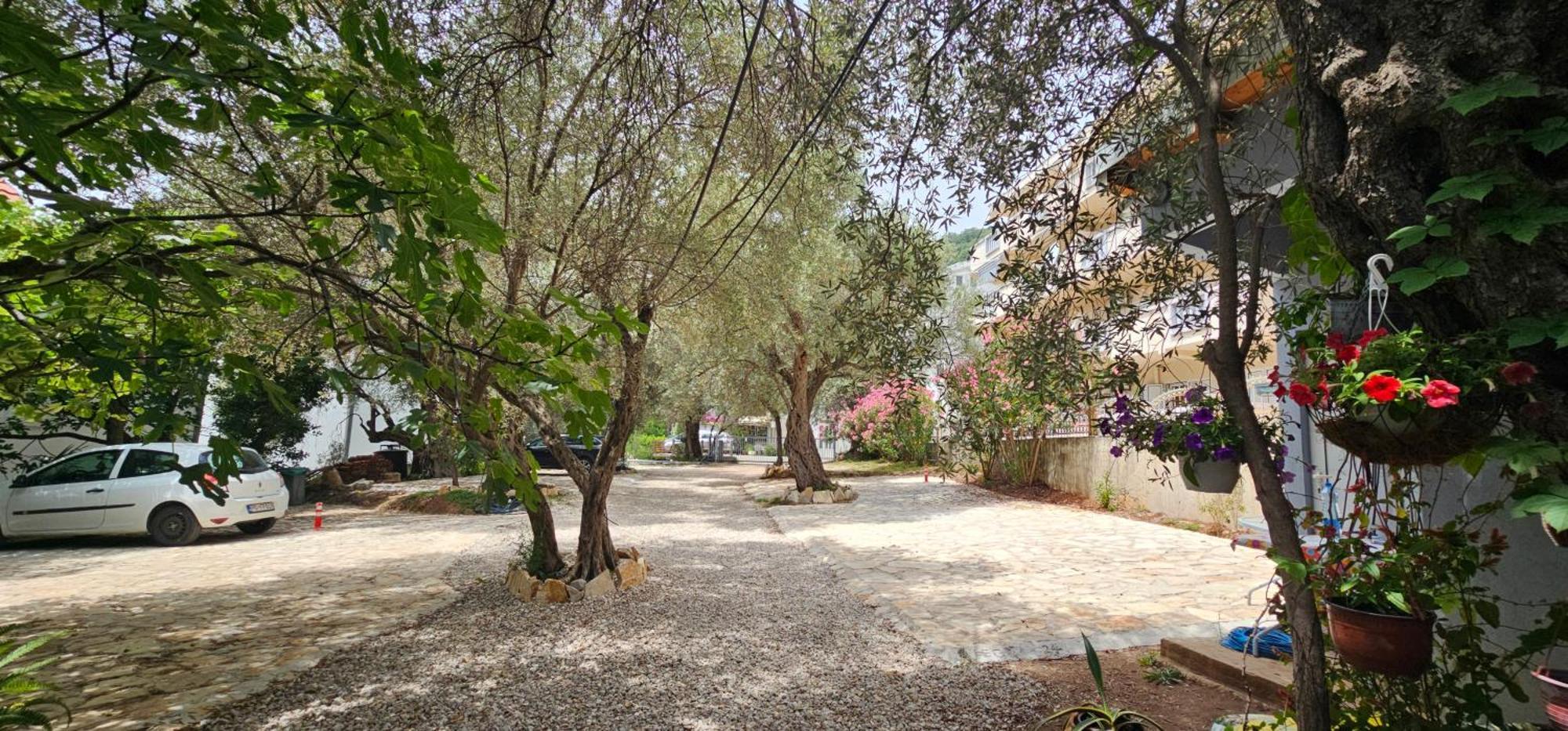 Medin Apartments Bluvista Petrovac المظهر الخارجي الصورة